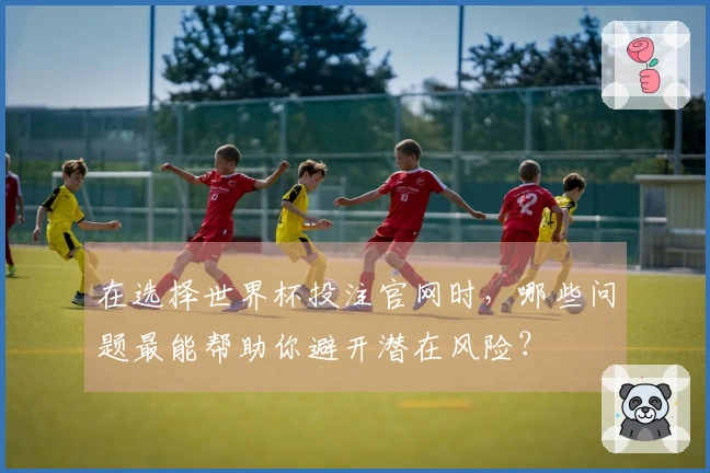 在选择世界杯投注官网时，哪些问题最能帮助你避开潜在风险？