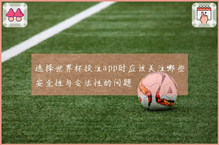 选择世界杯投注app时应该关注哪些安全性与合法性的问题