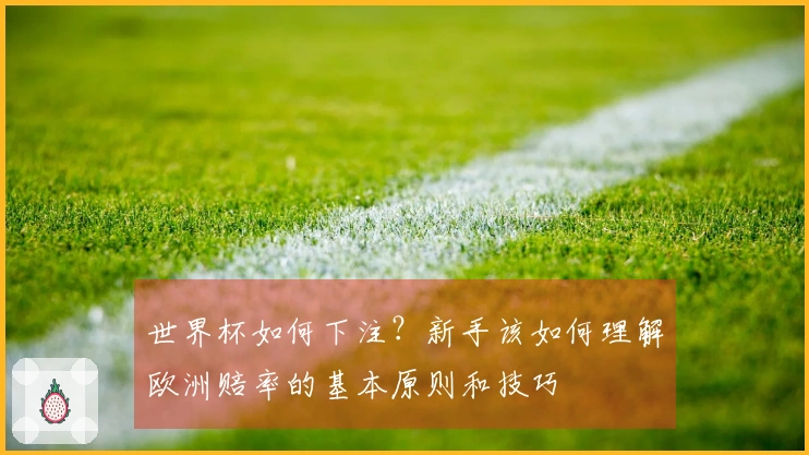 世界杯如何下注？新手该如何理解欧洲赔率的基本原则和技巧