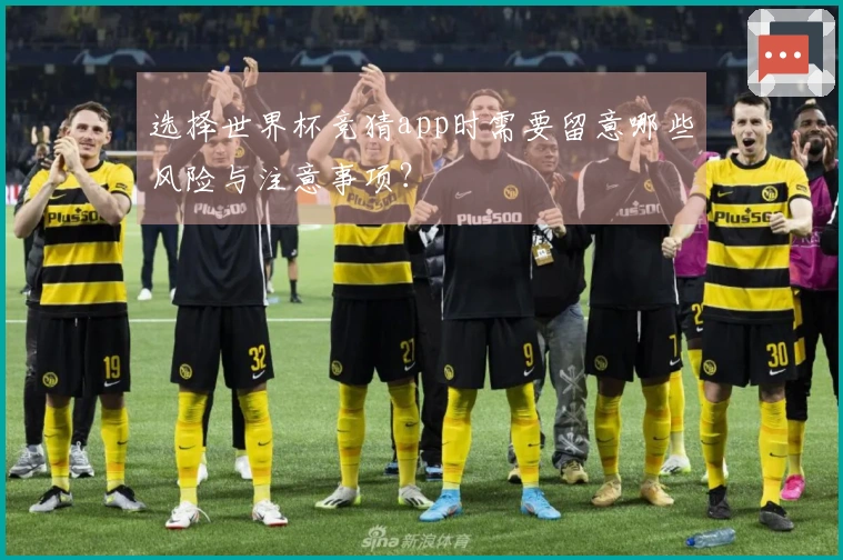 选择世界杯竞猜app时需要留意哪些风险与注意事项？