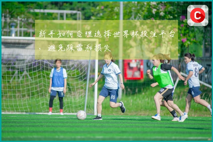 新手如何合理选择世界杯投注平台，避免踩雷和损失