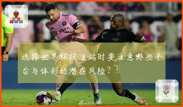 选择世界杯投注站时要注意哪些平台与体彩的潜在风险？