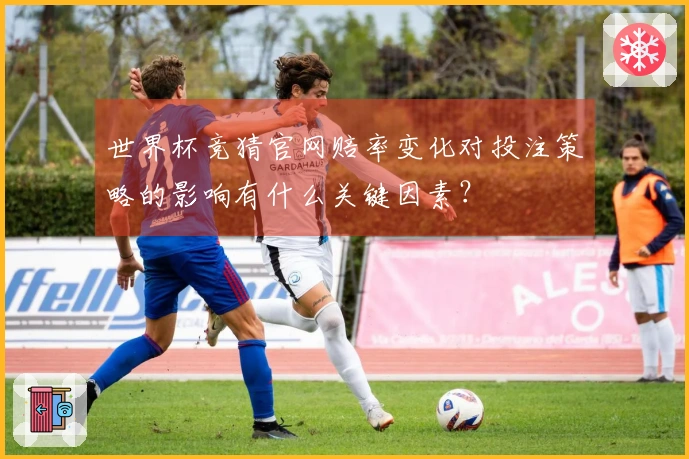 世界杯竞猜官网赔率变化对投注策略的影响有什么关键因素？