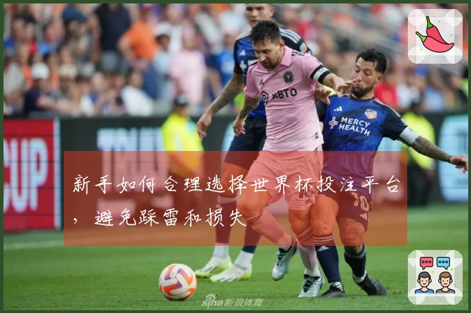 新手如何合理选择世界杯投注平台，避免踩雷和损失