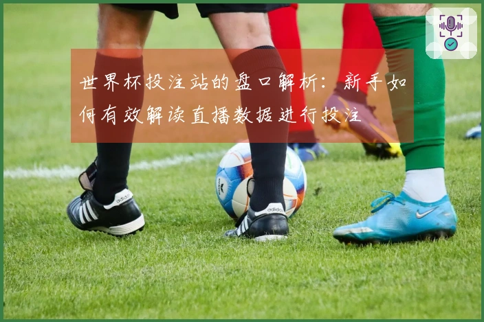 世界杯投注站的盘口解析：新手如何有效解读直播数据进行投注
