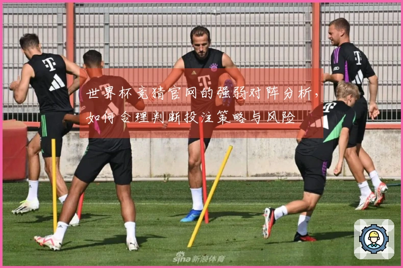 世界杯竞猜官网的强弱对阵分析，如何合理判断投注策略与风险