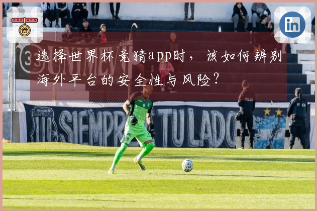 选择世界杯竞猜app时，该如何辨别海外平台的安全性与风险？