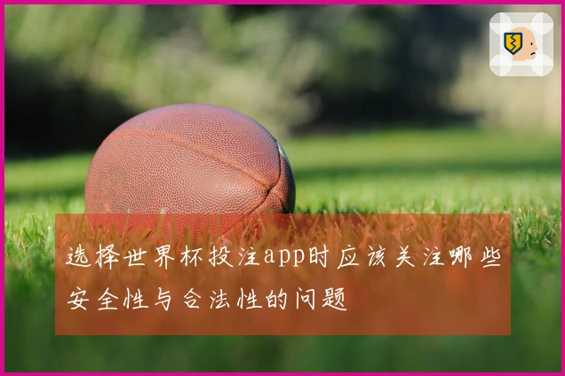 选择世界杯投注app时应该关注哪些安全性与合法性的问题