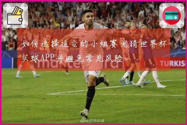 如何选择适合的小组赛竞猜世界杯买球APP并避免常见风险