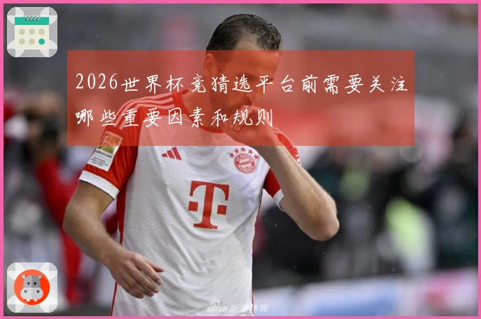 2026世界杯竞猜选平台前需要关注哪些重要因素和规则
