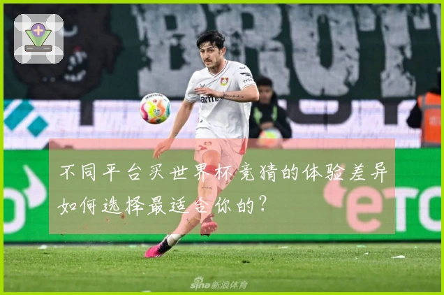 不同平台买世界杯竞猜的体验差异如何选择最适合你的？