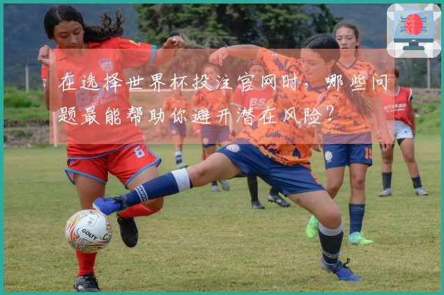 在选择世界杯投注官网时，哪些问题最能帮助你避开潜在风险？