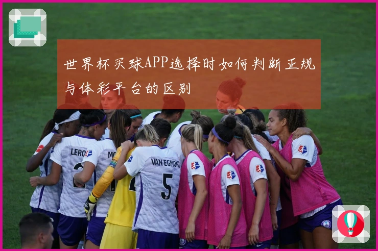 世界杯买球APP选择时如何判断正规与体彩平台的区别