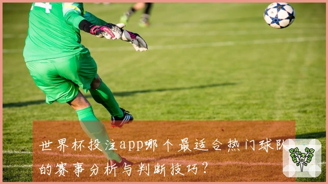 世界杯投注app哪个最适合热门球队的赛事分析与判断技巧？