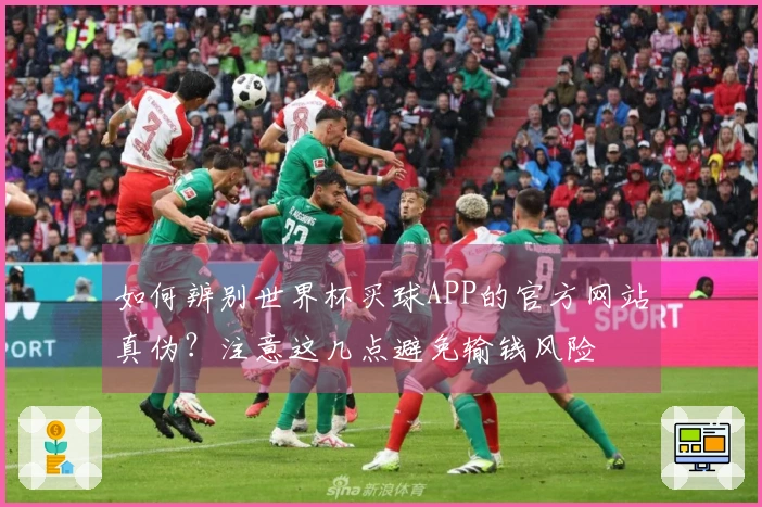 如何辨别世界杯买球APP的官方网站真伪？注意这几点避免输钱风险
