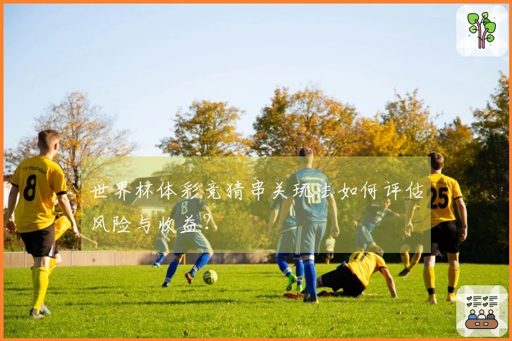 世界杯体彩竞猜串关玩法如何评估风险与收益？