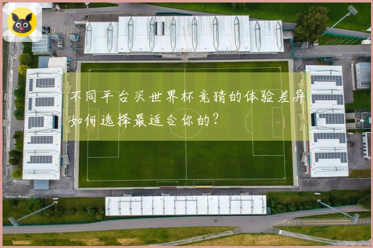 不同平台买世界杯竞猜的体验差异如何选择最适合你的？