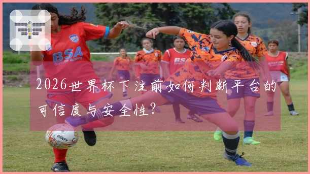2026世界杯下注前如何判断平台的可信度与安全性？