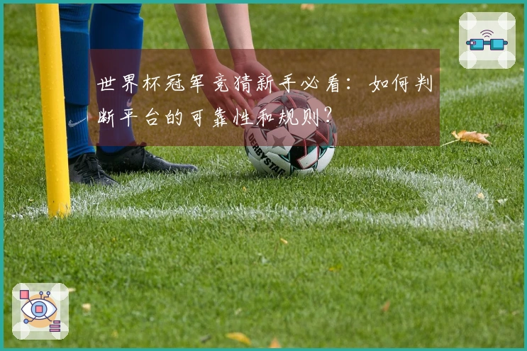 世界杯冠军竞猜新手必看：如何判断平台的可靠性和规则？