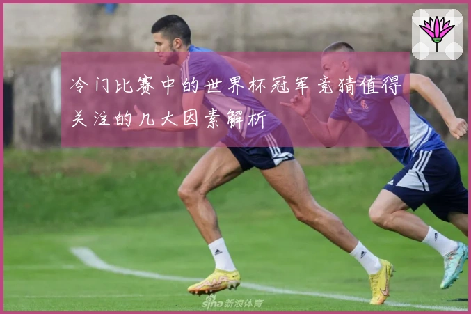 冷门比赛中的世界杯冠军竞猜值得关注的几大因素解析