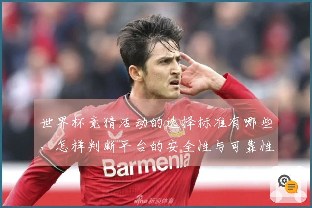 世界杯竞猜活动的选择标准有哪些，怎样判断平台的安全性与可靠性？