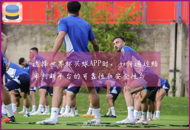 选择世界杯买球APP时，如何通过赔率判断平台的可靠性和安全性？