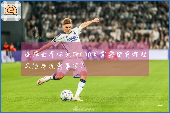 选择世界杯竞猜app时需要留意哪些风险与注意事项？