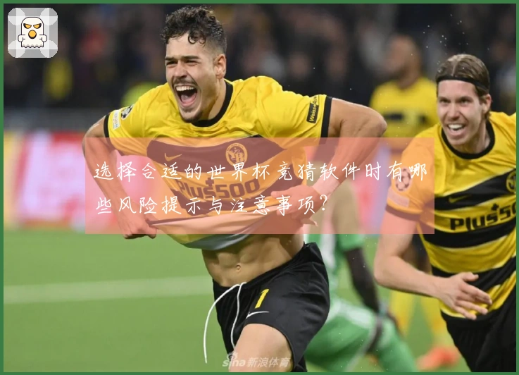 选择合适的世界杯竞猜软件时有哪些风险提示与注意事项？