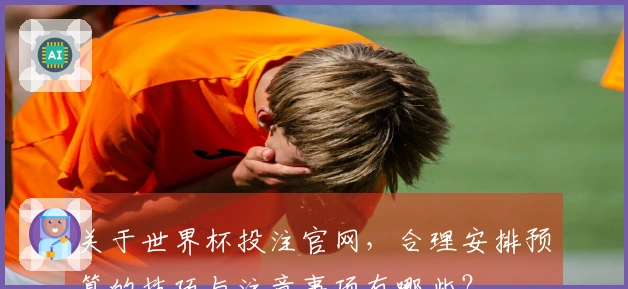 关于世界杯投注官网，合理安排预算的技巧与注意事项有哪些？