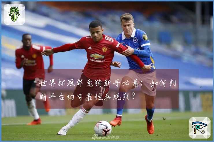 世界杯冠军竞猜新手必看：如何判断平台的可靠性和规则？